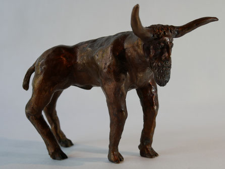 Stier